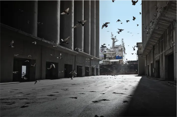 A cargo ship is docked between tall, shadowed industrial buildings as a flock of pigeons flies across the sunlit ground.